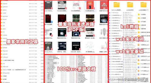 網(wǎng)絡安全與黑客技術 自學計算機軟硬件的全面指南