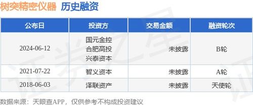 樹(shù)突精密儀器B輪融資完成，國(guó)元金控與合肥高投等機(jī)構(gòu)注資，網(wǎng)絡(luò)技術(shù)賦能高端儀器新篇章